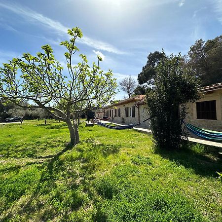 Finca Roberto Βίλα Can Picafort  Εξωτερικό φωτογραφία