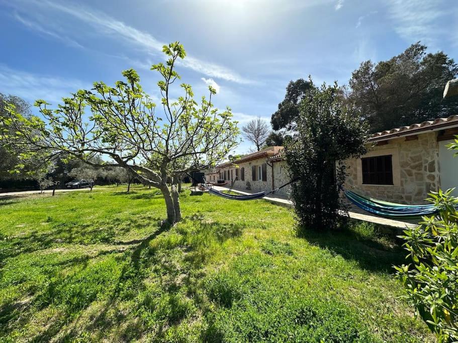 Finca Roberto Βίλα Can Picafort  Εξωτερικό φωτογραφία